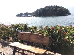 -大理老字号·舟渔的鱼野生菌海景餐厅(双廊店)
