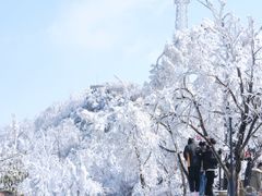 -紫金山山顶公园