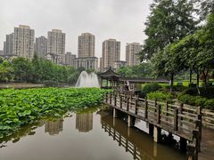 -龙头寺公园