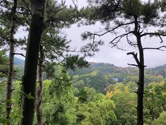 -庐山风景区花径公园