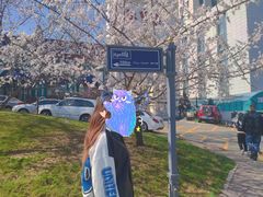 -哈尔滨文化公园