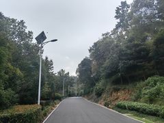 -平湖九龙山旅游度假区