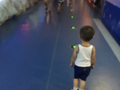 -芜湖新华联大白鲸海洋公园