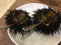 -红叶日料·放题·海胆·定食(星海店)