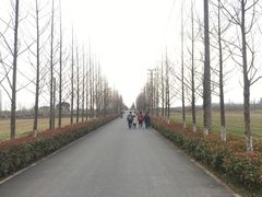 -嘉北郊野公园