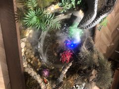 -东椰·海南椰子鸡火锅(朝阳门店)