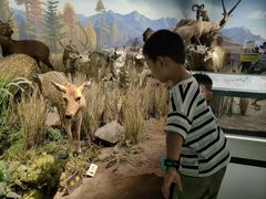 -陕西自然博物馆