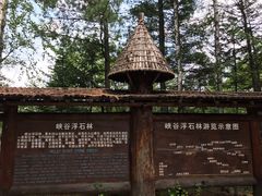 -峡谷浮石林景区