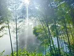 -东江湖旅游区
