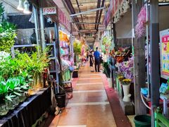 -朝来春花卉市场