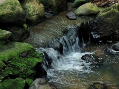 -东莞市大岭山森林公园