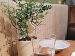 -CURRY YA 熟成咖哩專門店(深圳湾万象城店)