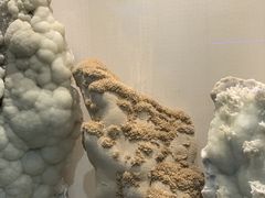-河南自然博物馆