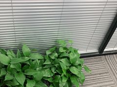 -新航道雅思托福·留学·考研培训(人民广场校区)