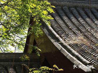 春色正好，游客不少。疫情前只有附近居民饭后来遛达