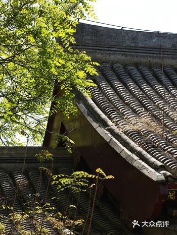 春色正好，游客不少。疫情前只有附近居民饭后来遛达