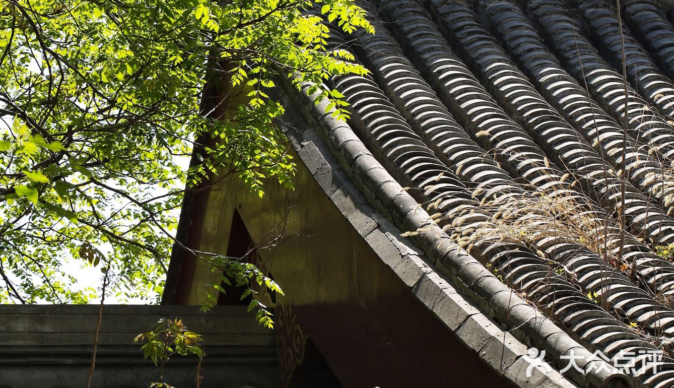 春色正好,游客不少。疫情前只有附近居民饭后来遛达