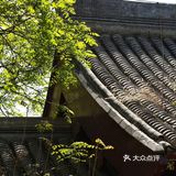 春色正好,游客不少。疫情前只有附近居民饭后来遛达