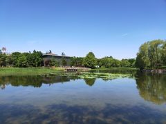 -望湖公园