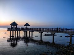 -养马岛旅游度假区