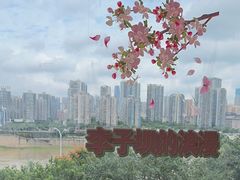 -李子坝梁山鸡(李子坝大鸡哥店)