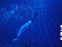 -多彩贵州城极地海洋世界