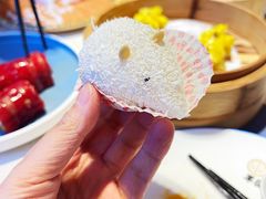 -点都德·毕德寮