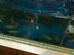 -御唐府海珊瑚主题餐厅