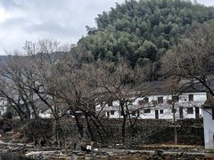 景点-鹿亭中村