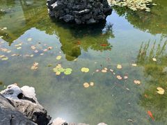 -东山雕花楼