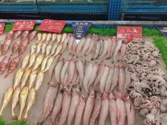 -骏莱海鲜鱼港(五角场店)