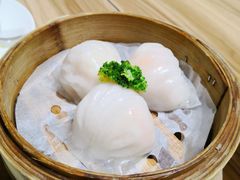 虾饺皇-胜记凯心茶餐厅(汇金财富广场店)