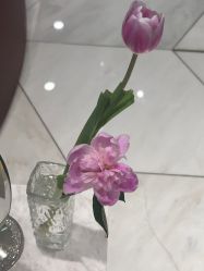 -智美品质医美