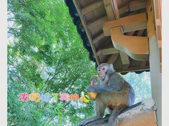 -千岛湖东南湖区