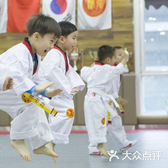 九段国际跆拳道教育图片-北京跆拳道馆-大众点评网