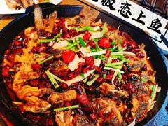 -老板恋上鱼(恒隆广场店)