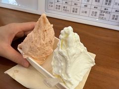 -野人先生Gelato(上海长宁龙之梦店)