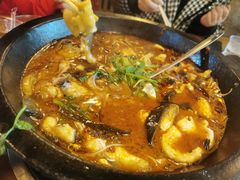 -都江堰石锅鱼
