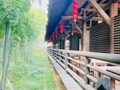 -大唐贡茶院