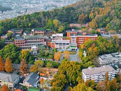 -北山街历史文化街区