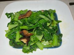 -雨后行菜(报慈北路店)