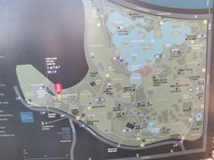 -墨尔本皇家植物园