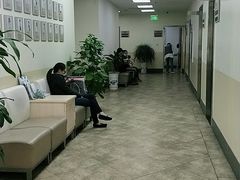 -美联众合动物医院·24h转诊中心