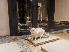 -Metal hands·铁手咖啡