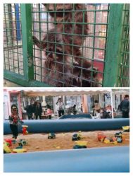 -萌宠亲子动物乐园(槐房万达店)