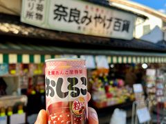 -奈良公园