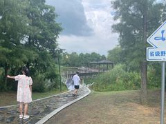 -同里国家湿地公园