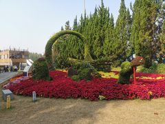 -东平国家森林公园