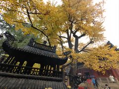 -红螺寺