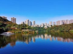 -重庆彩云湖湿地公园